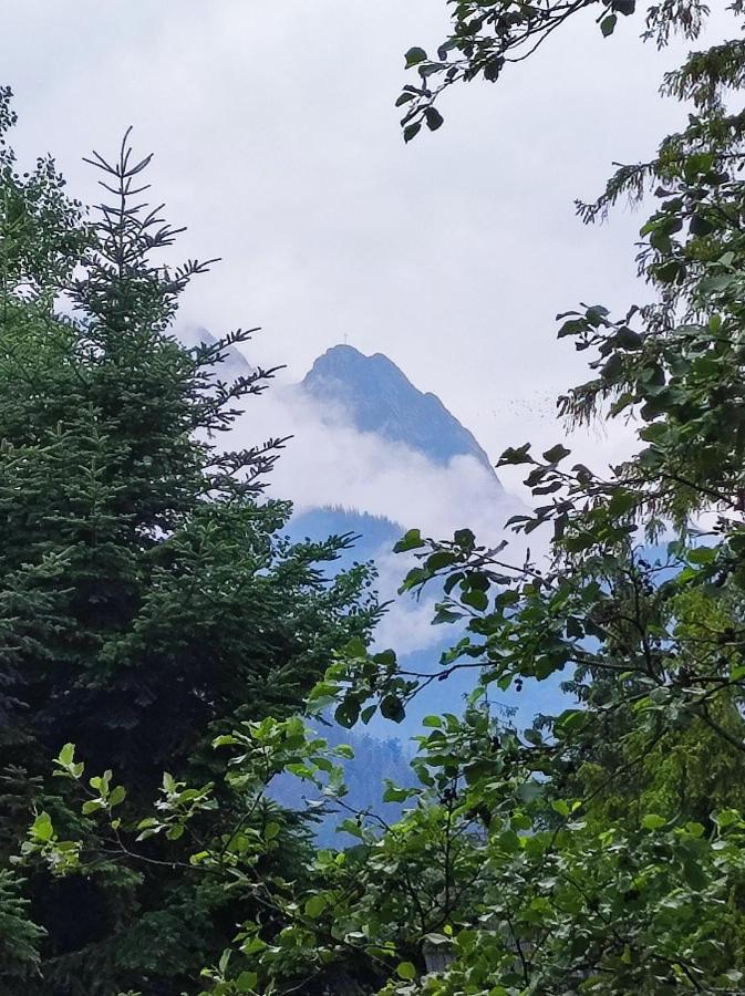 Pokoje Goscinne "Tecza" Zakopane Buitenkant foto