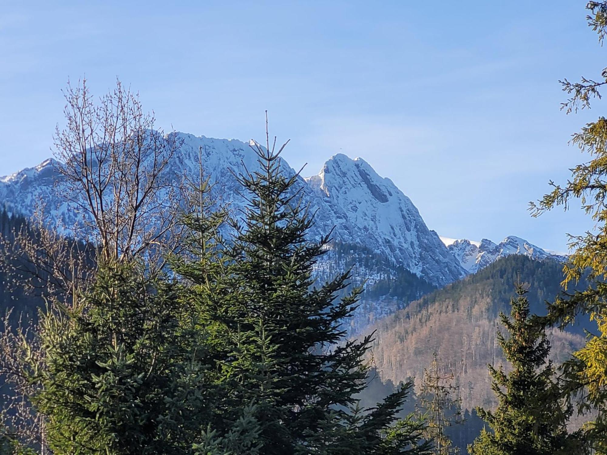 Pokoje Goscinne "Tecza" Zakopane Buitenkant foto