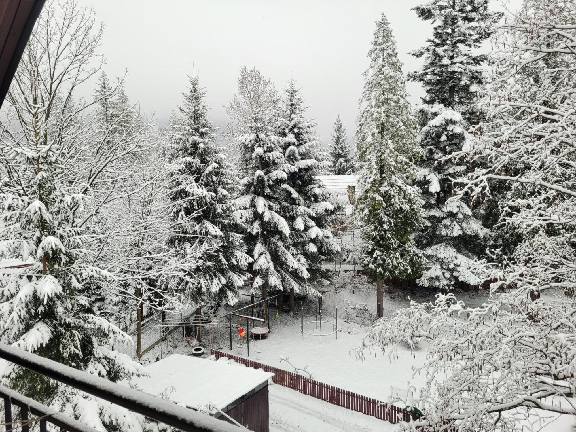 Pokoje Goscinne "Tecza" Zakopane Buitenkant foto