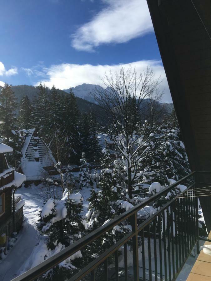 Pokoje Goscinne "Tecza" Zakopane Buitenkant foto